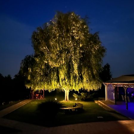 Battonya House Daire Dış mekan fotoğraf