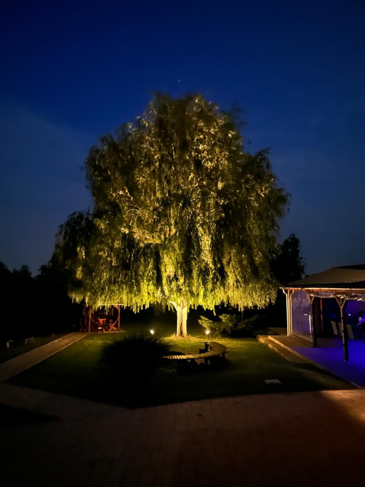 Battonya House Daire Dış mekan fotoğraf